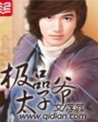 极品太子2全集免费看