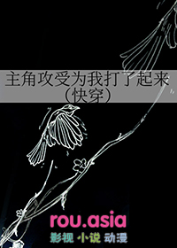 主角攻受为我打起来了 小说 小说